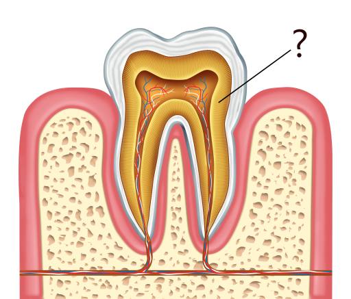 dentina