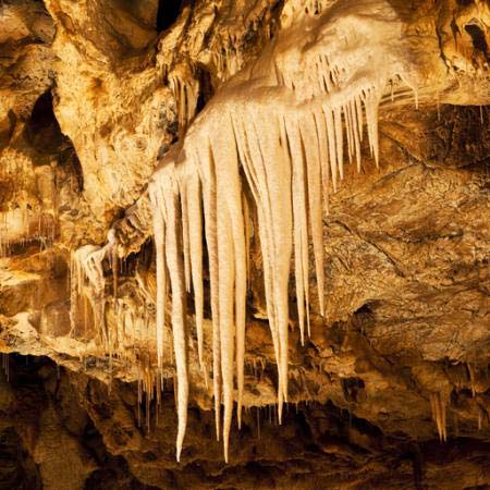 stalactita